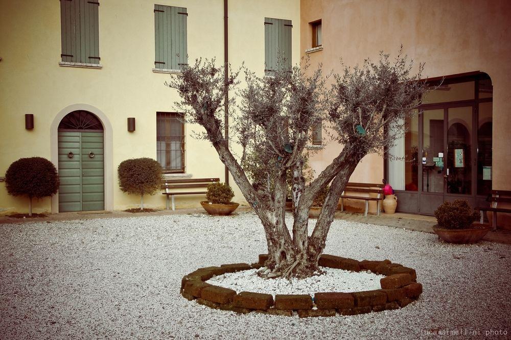 דירות וולטה מנטובנה Agriturismo Cascina Boschi מראה חיצוני תמונה